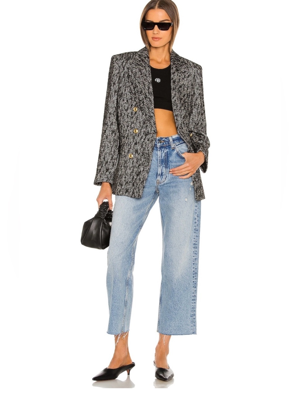 Anine Bing Gavin Jeans 24
